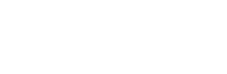 Puma@2x